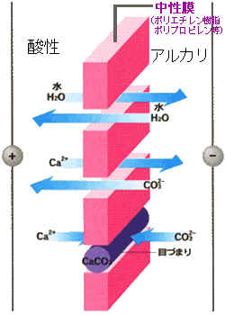 609x450_215C-LIFE7ﾗｲﾄﾌﾞﾙｰ原水