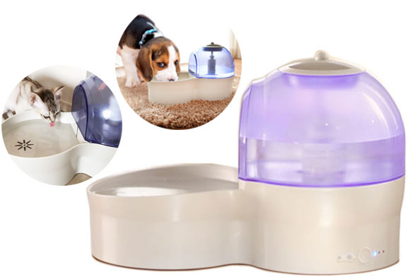 ペット用水素水 大切なペットの健康と元気をサポート「 水素自動給水器 