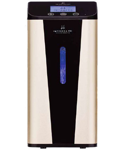 H2�t���X�J300