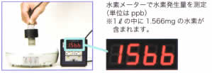 ppb