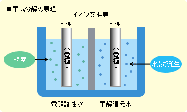 日本トリム 電気分解の原理