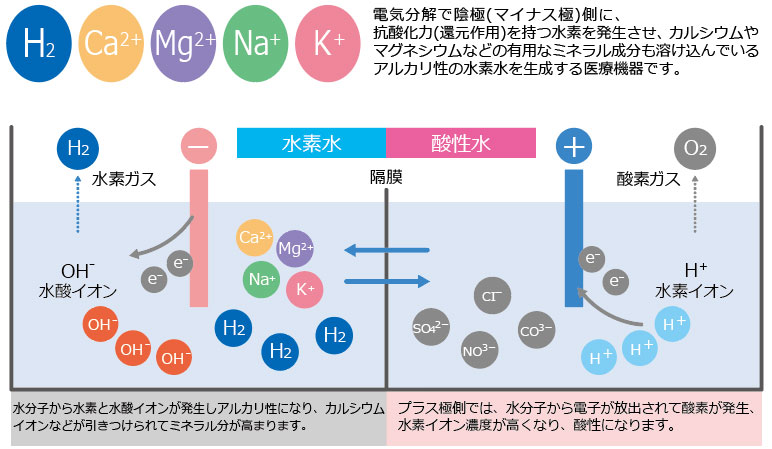 �t�F���X�E�H�[�^�[�d��w