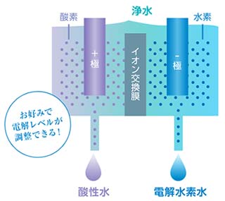 電解水素水と酸性水