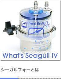 What's Seagull 場M シーガルフォーとは