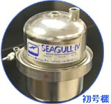 seagull