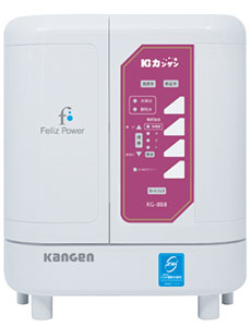 電解水素水生成器フェリスパワー
