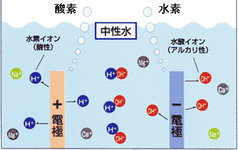 ノンセパレート電解方式