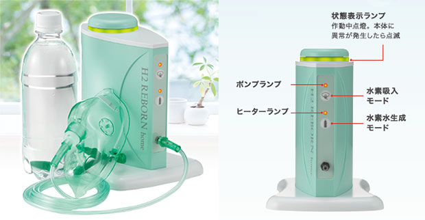 H2 reborn home 寸法