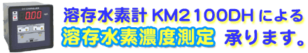 nfvKM2100DHɂnfZx菳܂B
